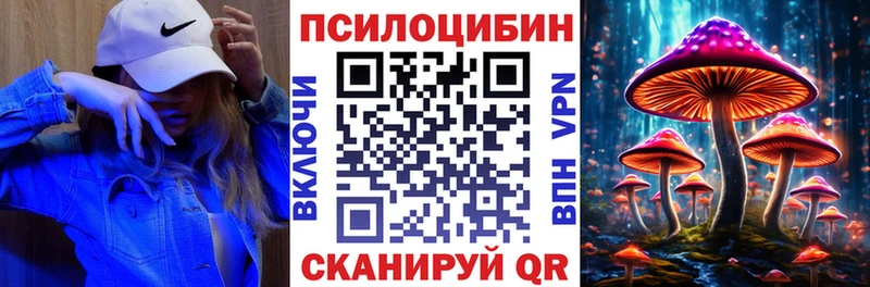 закладки  Омутнинск  Галлюциногенные грибы GOLDEN TEACHER 